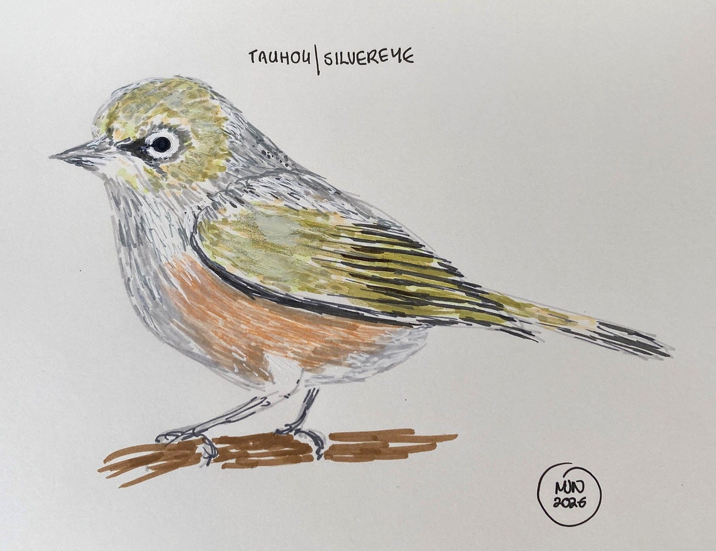 A felt pen drawing of a tauhou