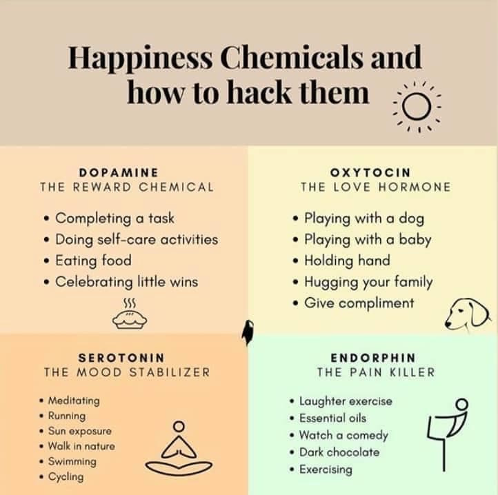 happiness chemicals
