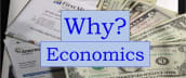 Why? Economics