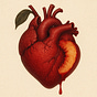 BloodFruit Horror's avatar