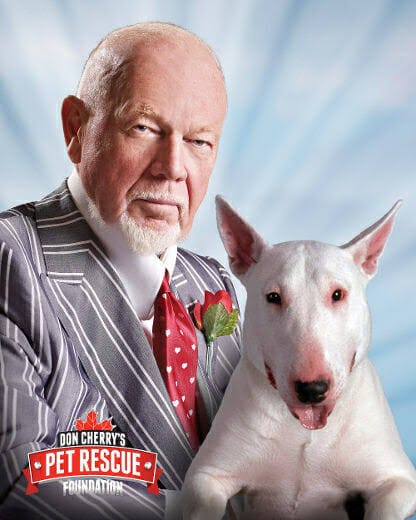 The Grit That Endures: Lindy Ruff revived Buffalo’s grit, proving Don Cherry’s old-school hockey code still survives in the modern NHL. The Grit That Endures: Lindy Ruff revived Buffalo’s grit, proving Don Cherry’s old-school hockey code still survives in the modern NHL.