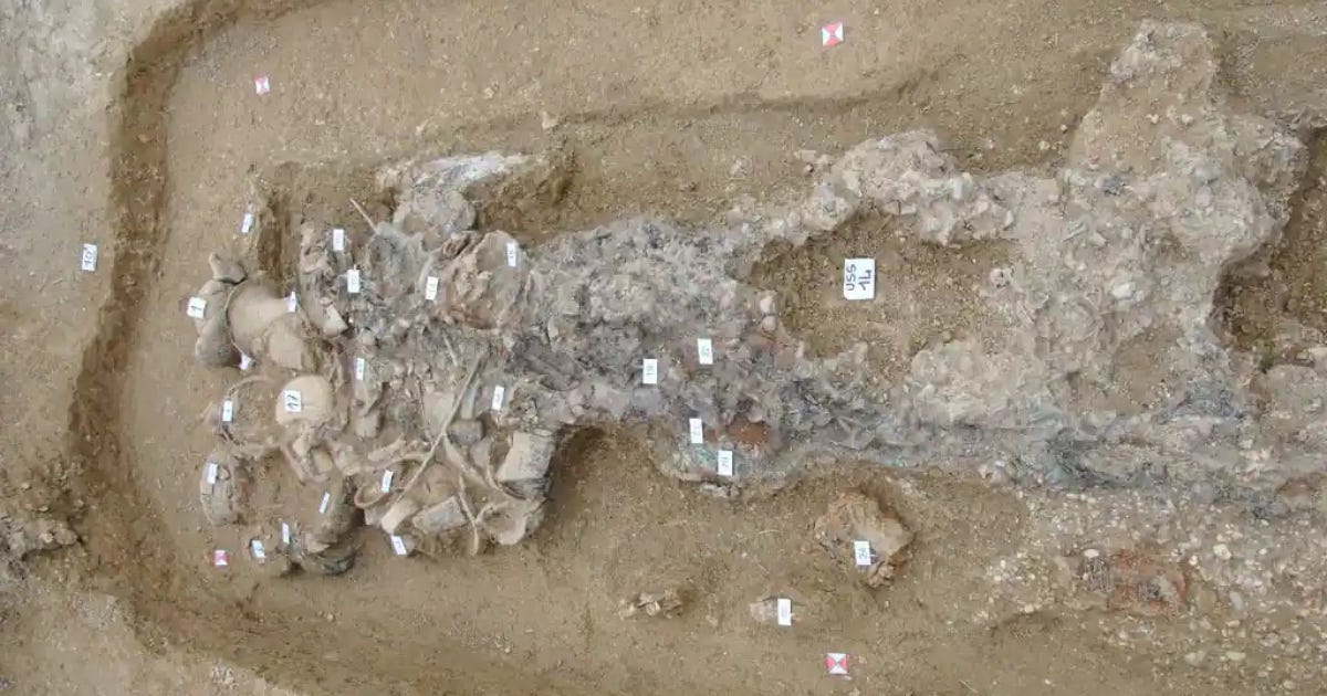 **Excavation of the female burial. Credit: Soprintendenza ABAP Ancona–Pesaro Urbino.**