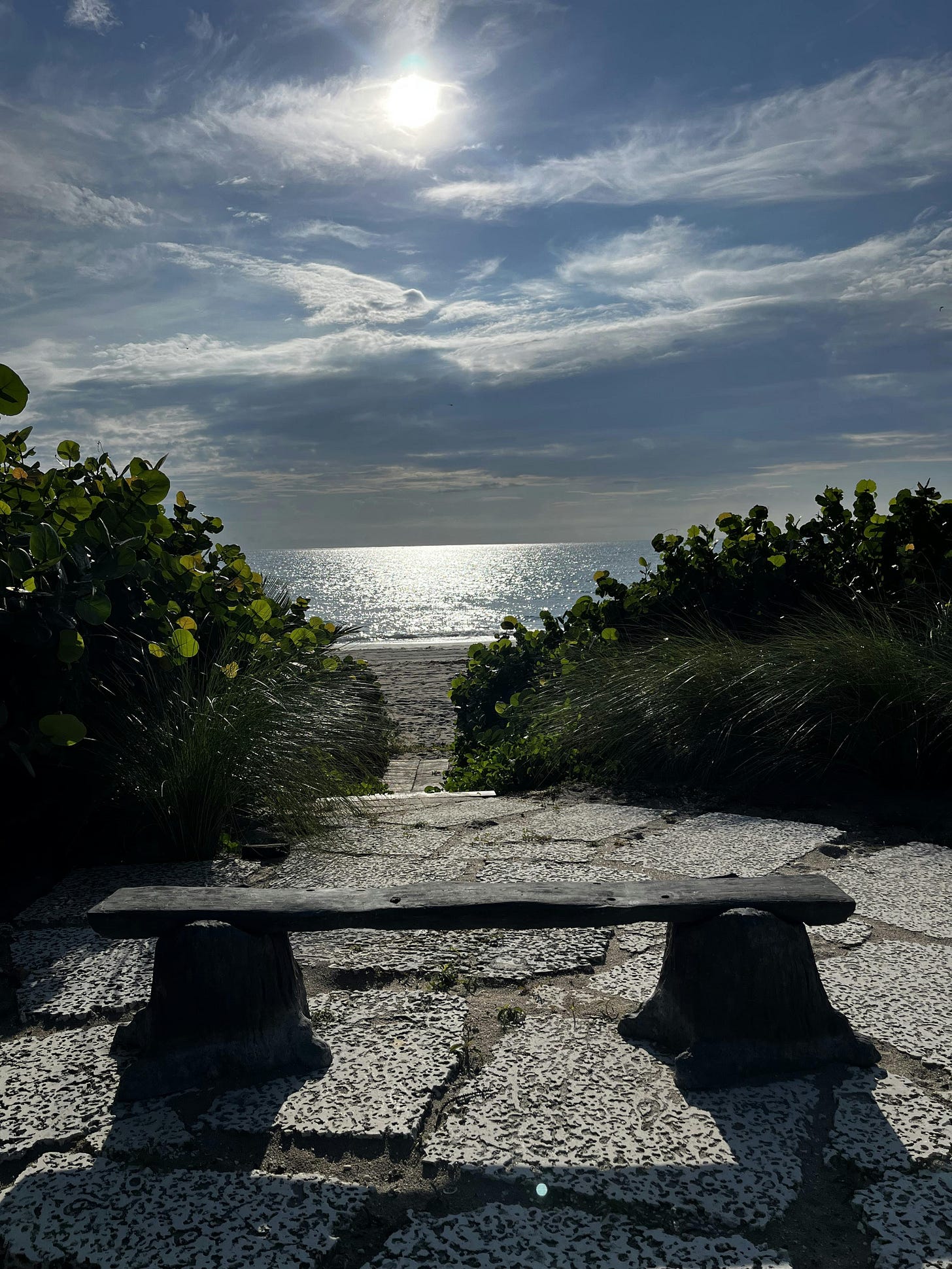 038: In Search of Freedom, or Free from Searching? 038: In Search of Freedom, or Free from Searching?