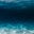 sea's avatar