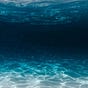 sea's avatar