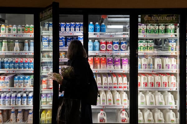 N.Y.C. Grocery Prices Are High. Could City-Owned Stores Help? - The New  York Times