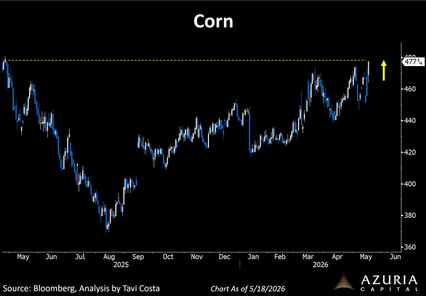 The image is a line chart depicting the historical and future price trends of corn, with a focus on the period leading up to May 2026.

AI-generated content may be incorrect.