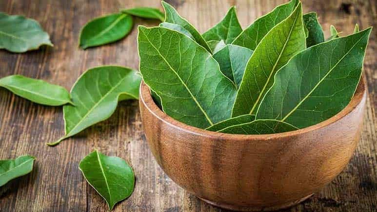 bay leaves