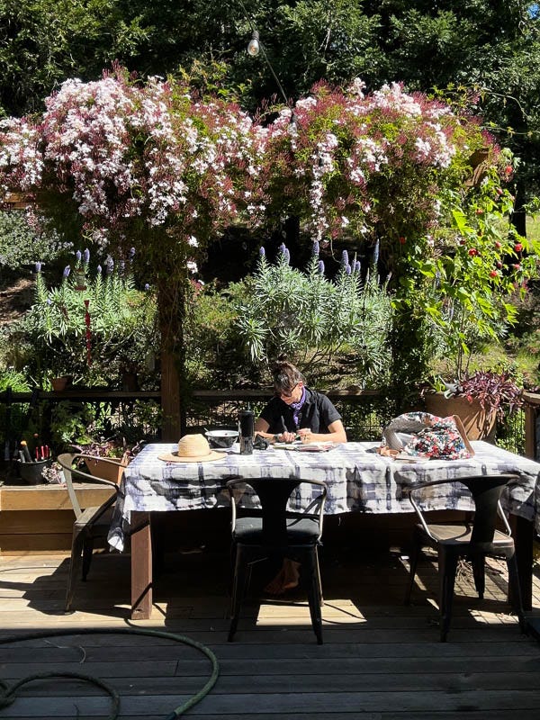 My Everyday Life Week 12 of 2026- Tracy Benjamin of Shutterbean.com