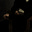 رفيف.'s avatar