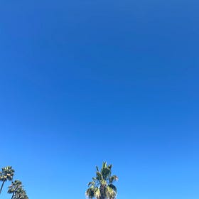 A Los Angeles Without Palm Trees