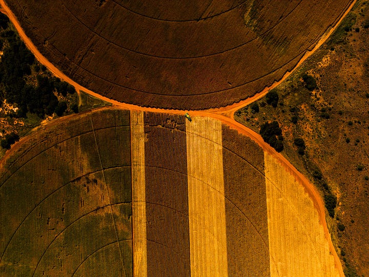 Inside the upcoming exclusive photo book, you'll find stunning images of Orania's surrounding farmlands, capturing the breathtaking beauty of the region. The photo book will not only showcase these captivating visuals but also provide insightful text, revealing the life and spirit of Orania in its entirety. By upgrading to a paid subscription, you'll not only support our work but also gain access to this unique and immersive experience of Orania, a true gem in South Africa.