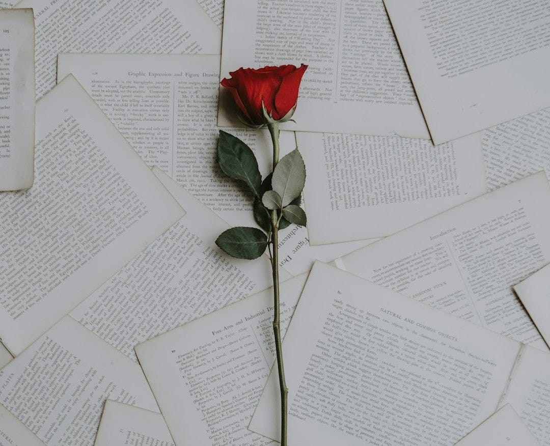 red rose on book sheets red rose on book sheets