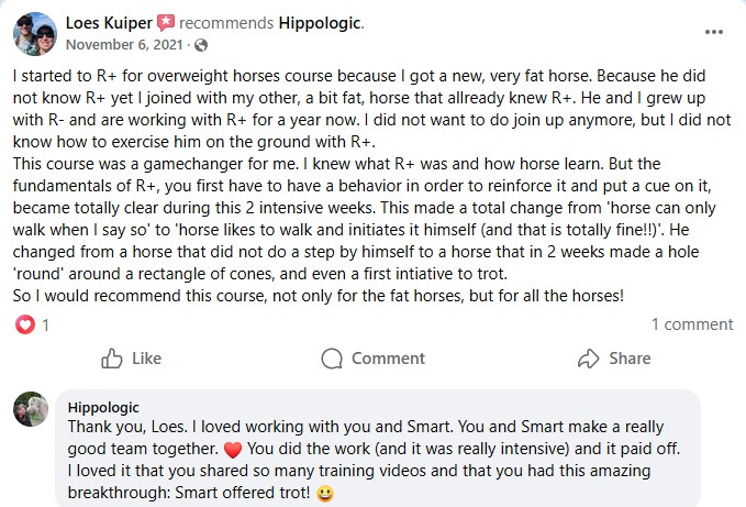 praise for hippologic rectangle movement rplus training overweight horses program loes kuiper for hippologic clickertraining review