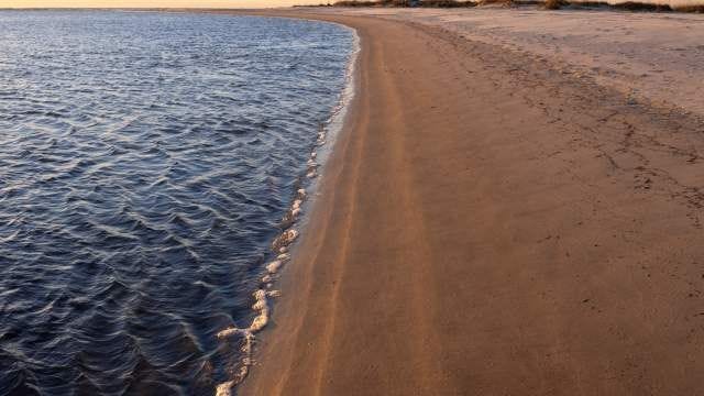 Miles of sunny beaches are ideal for relaxing, wildlife watching, and biking on St. Simons Island, GA Miles of sunny beaches are ideal for relaxing, wildlife watching, and biking on St. Simons Island, GA