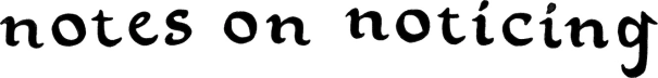 Notes on Noticing