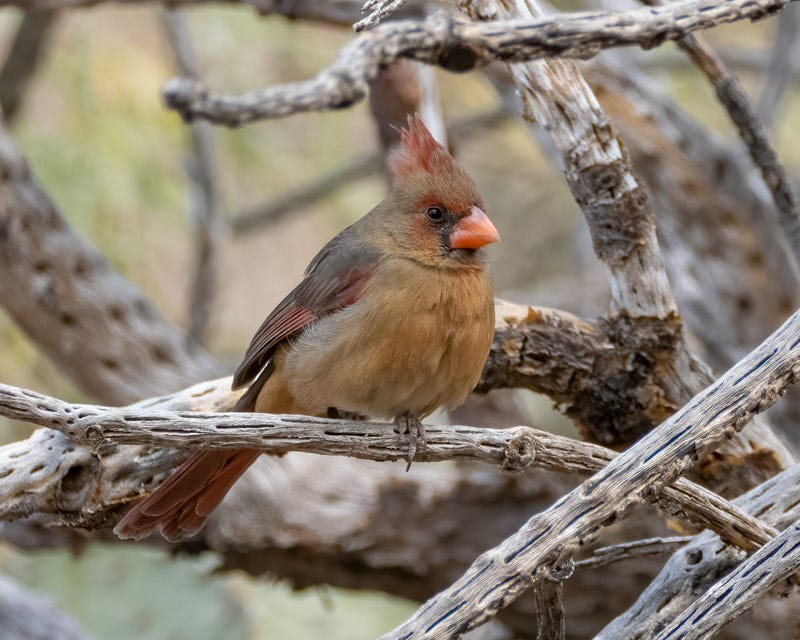 20250127-MBY-20-Edit.jpg 20250127-MBY-20-Edit.jpg