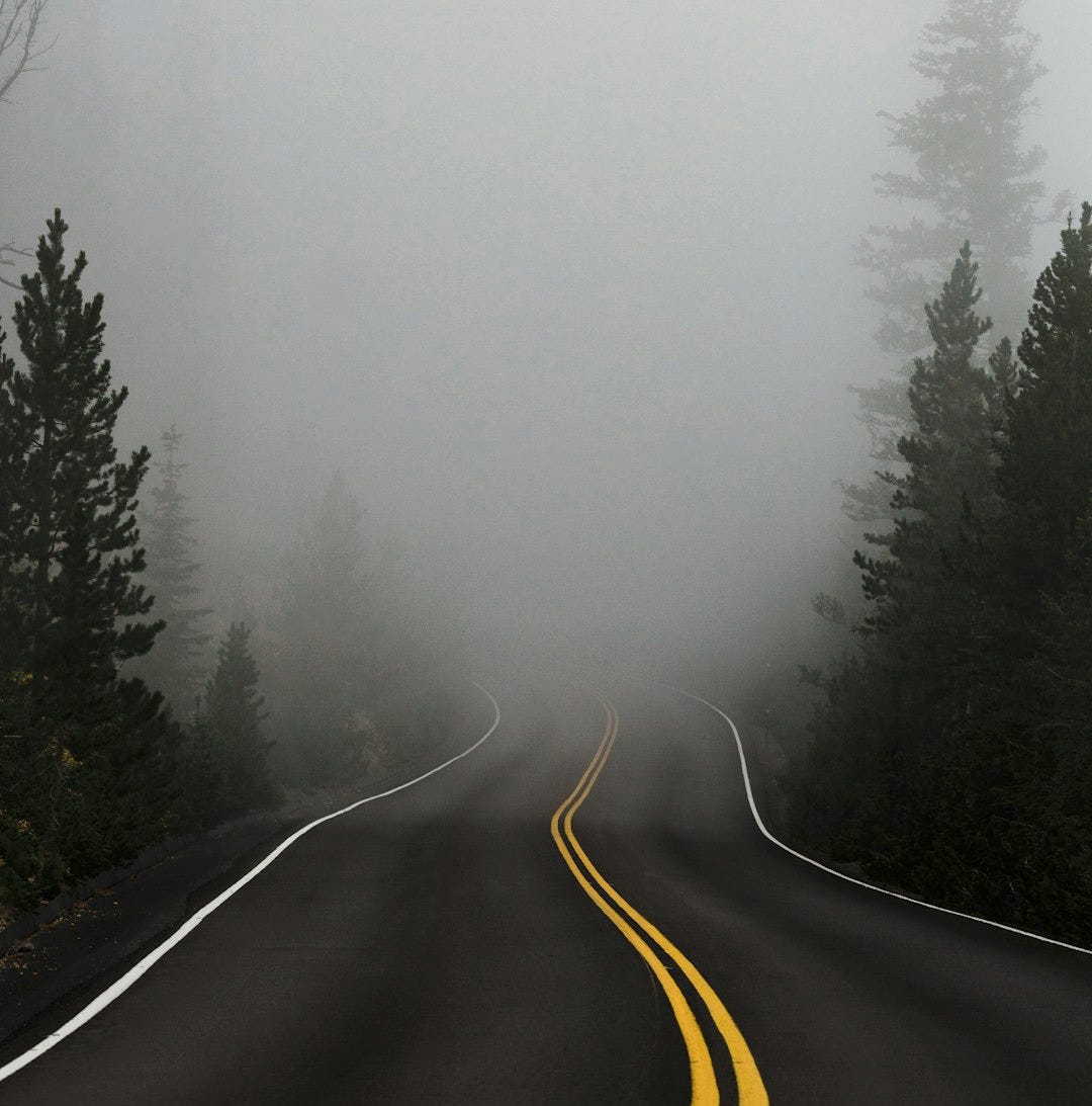 empty road surrounded with trees with fog