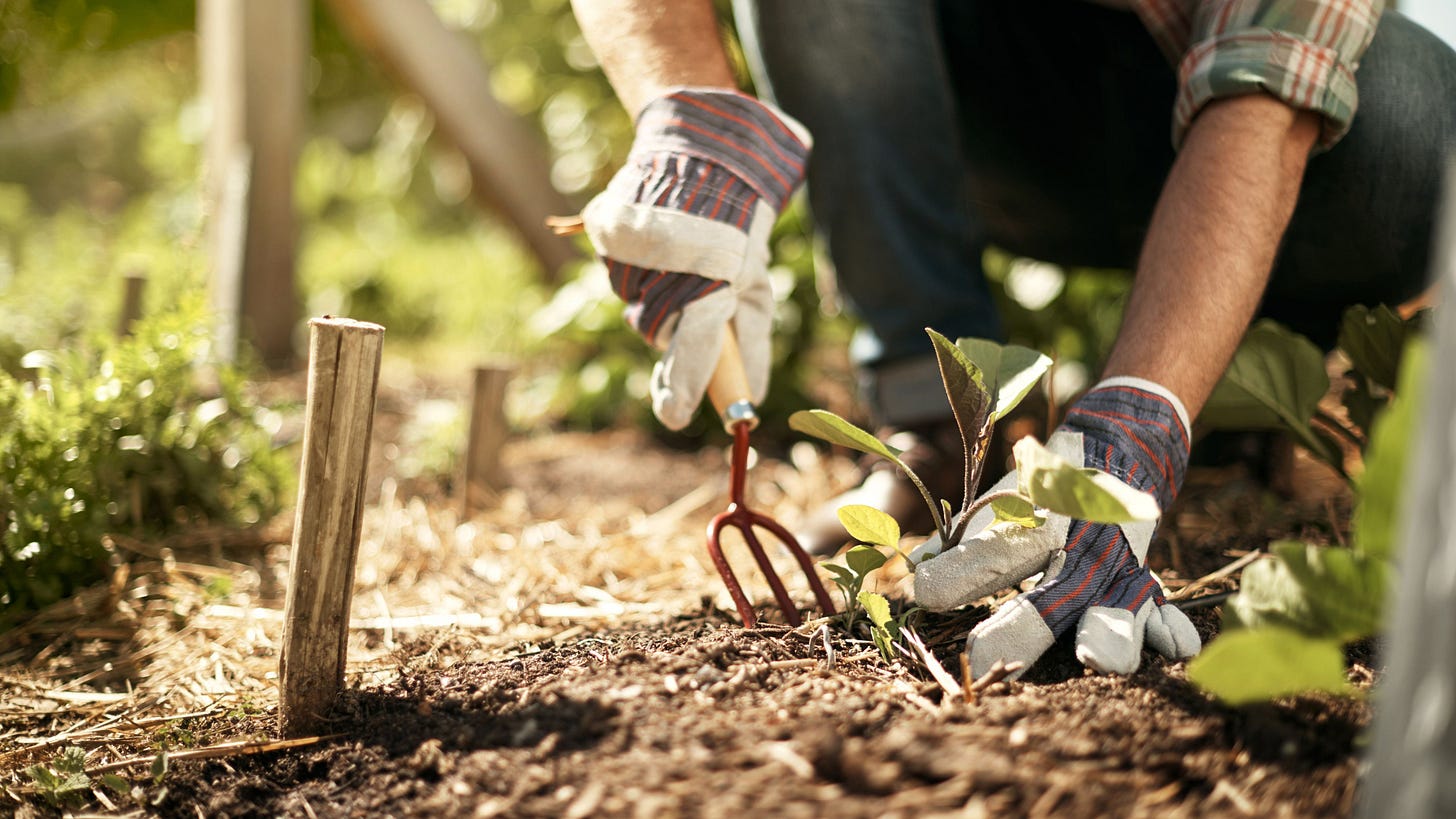 11 best gardening tools, according to experts | CNN Underscored