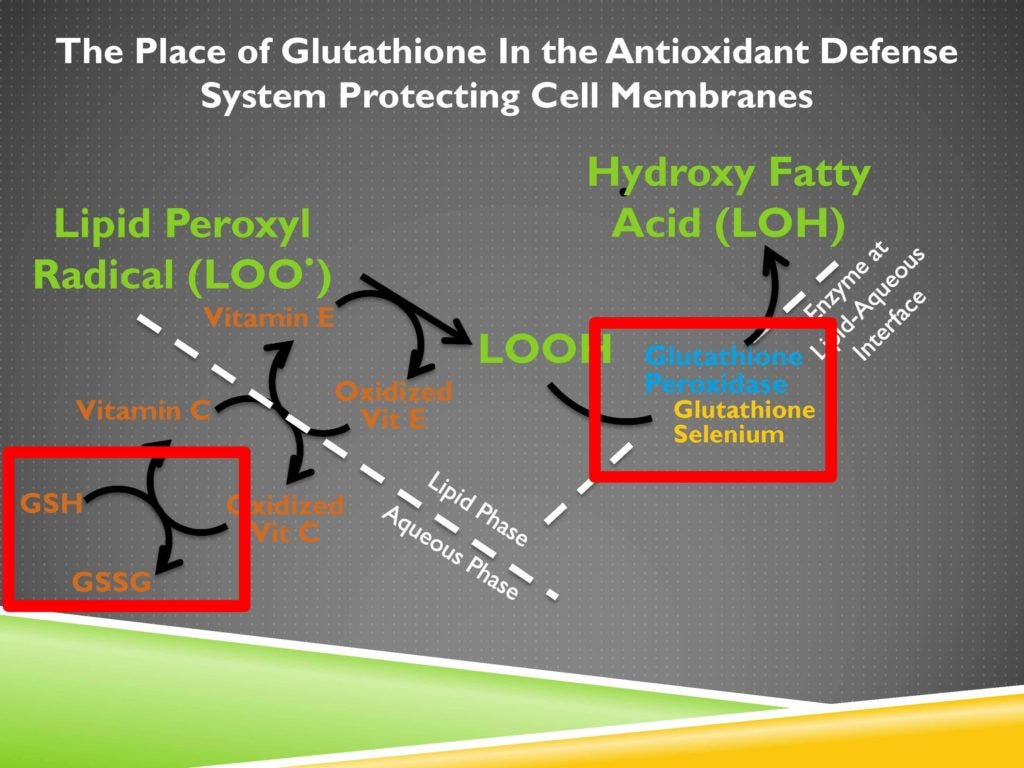 cofactor for glutathione peroxidase 6. Introduction to Glutathione