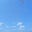 Eva Rose's avatar