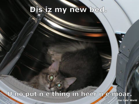 Kali_Dryer_Bed Kali_Dryer_Bed