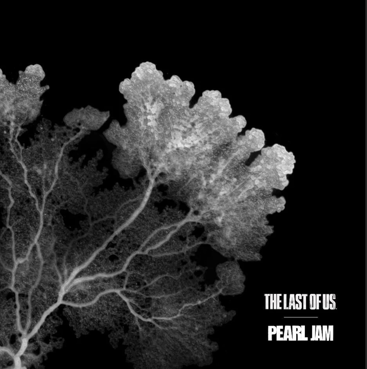 Pearl Jam Releases Songs Inspired By 'The Last of Us' - Noise11.com Pearl Jam Releases Songs Inspired By 'The Last of Us' - Noise11.com