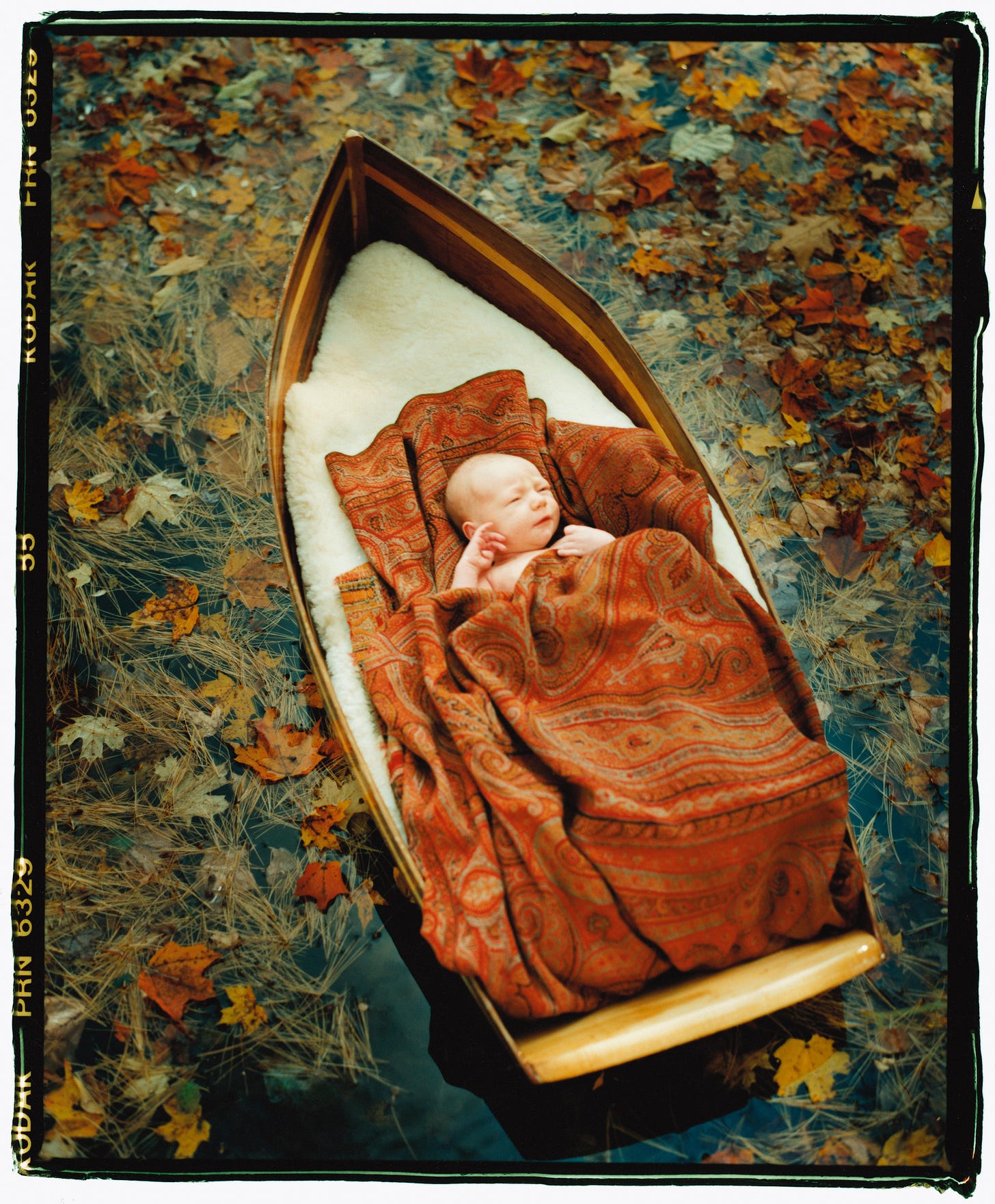 Baby in a boat floating on a sea of troubles. Baby in a boat floating on a sea of troubles.