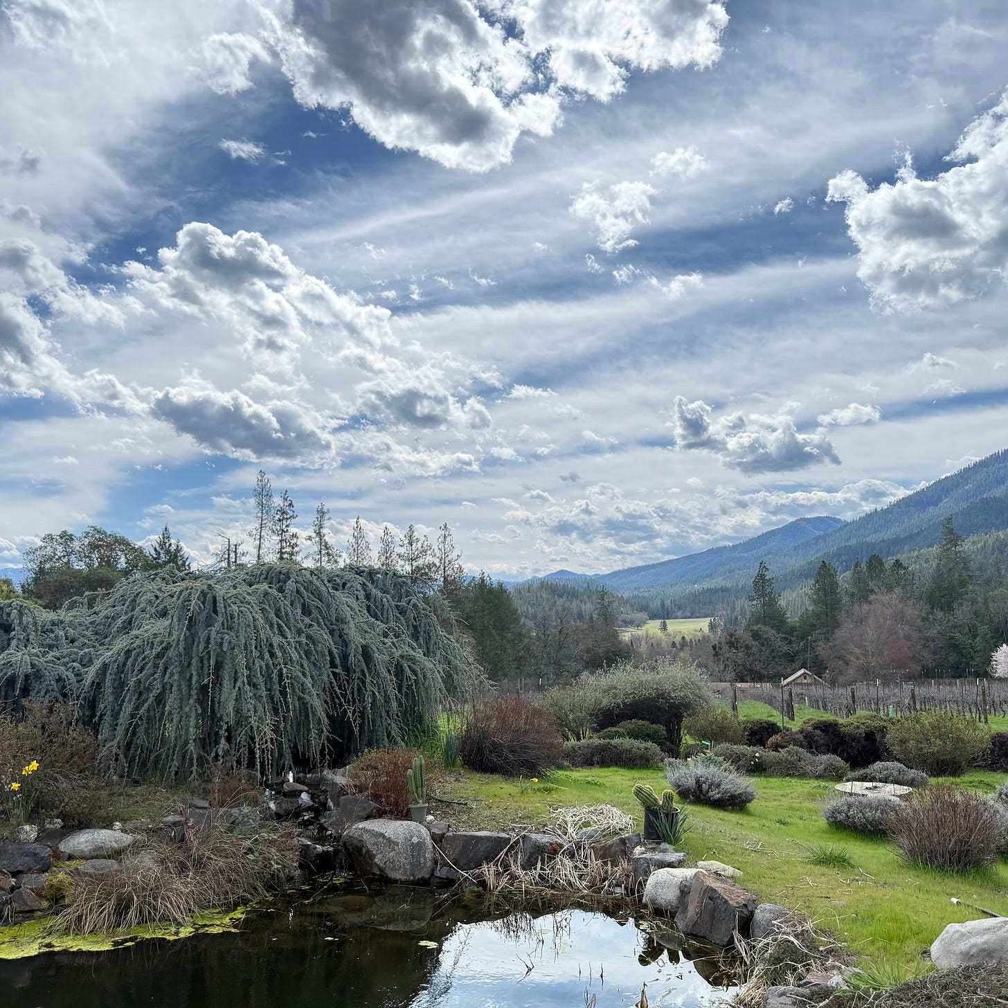 A serene pond with a weeping willow tree beside it, surrounded by green grass and gardens, with mountains and valley visible in the distance under a dramatic cloudy sky