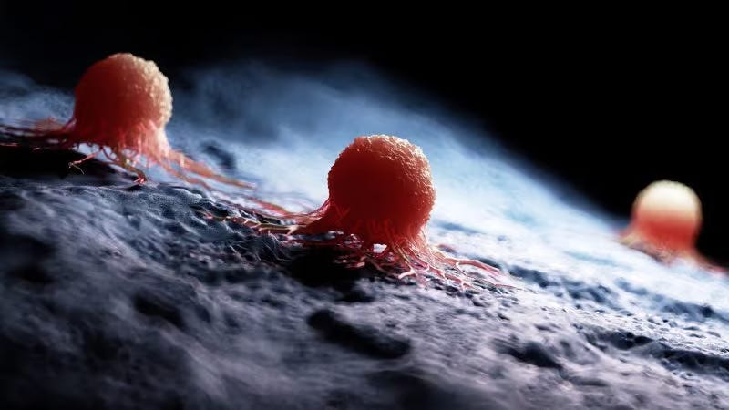 The Third Rail: Covid-19 Vaccines and Cancer