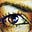 WickedwiseyetlostinLA's avatar