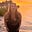 Kayley Scruggs's avatar
