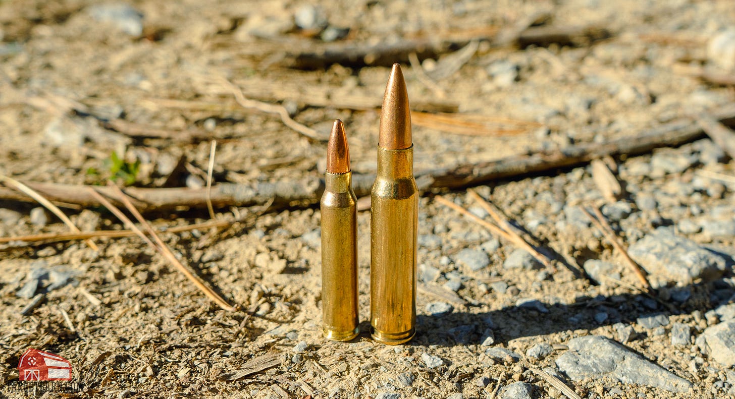 223 vs. .308 Caliber Comparison - TargetBarn.com