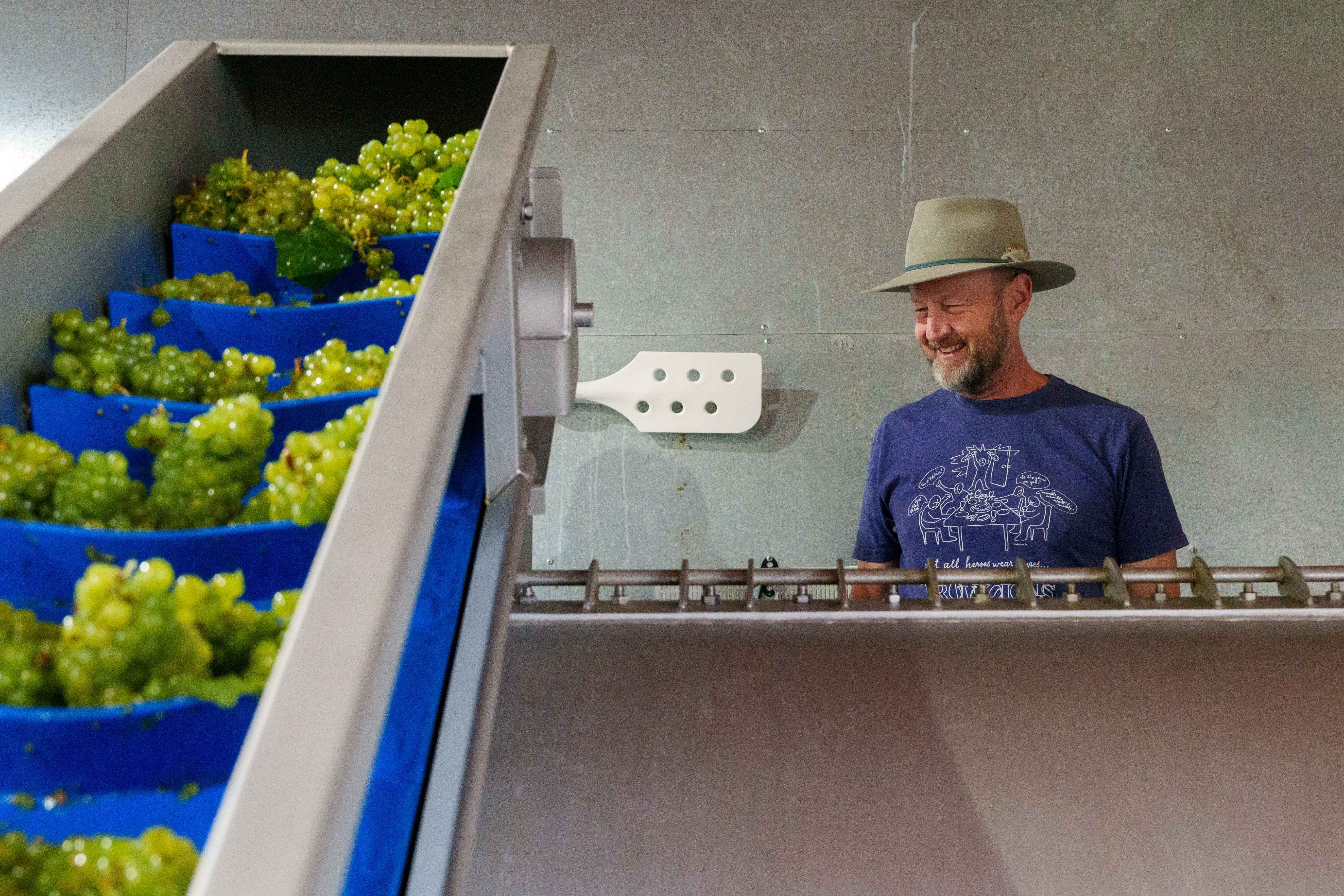 Off to the Races: Napa Valley's 2025 Harvest Begins