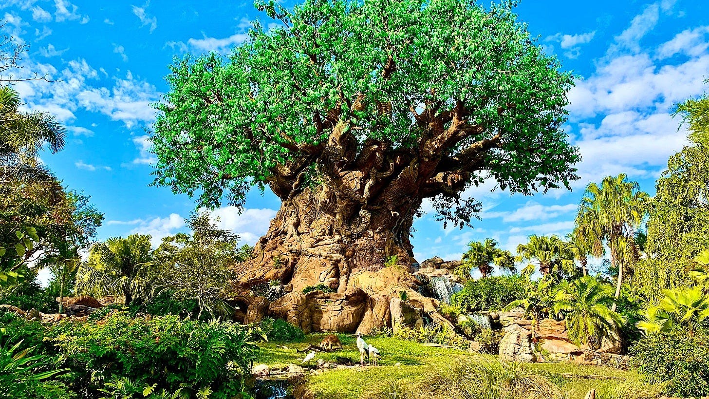 The Tree of Life at Disney's Animal Kingdom. Image: Jedi94 via Wikimedia Commons