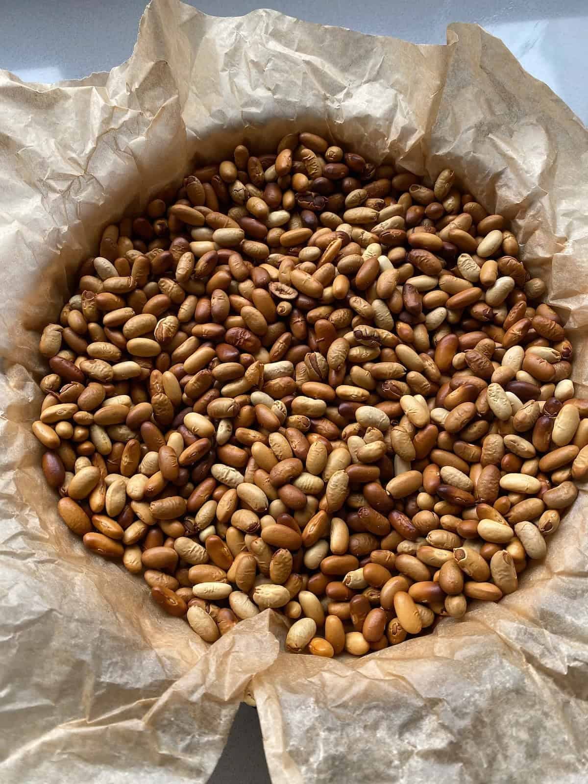 Pastry lined with baking parchment and filled with dried beans for blind baking.