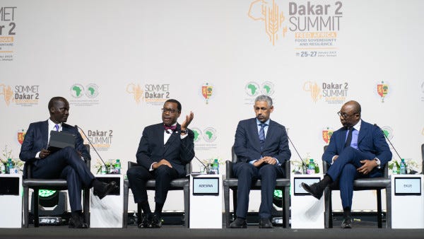 African Development Bank Group (AfDB)