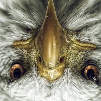 Substack profile picture for @progressing
