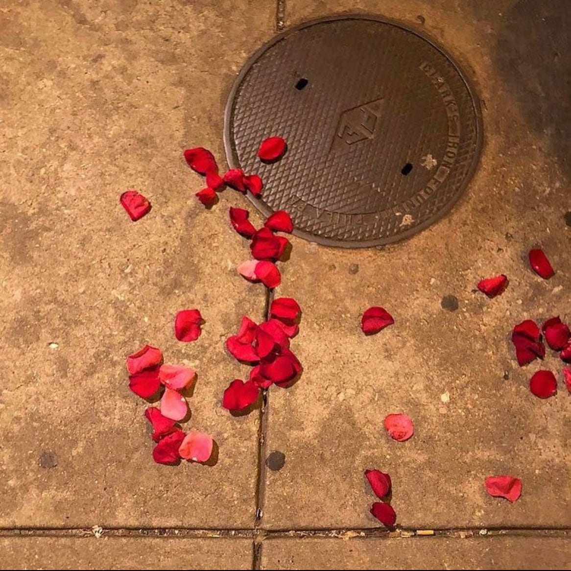 not somewhere else, but here