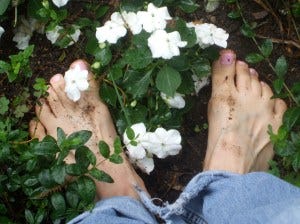 toes this little piggy