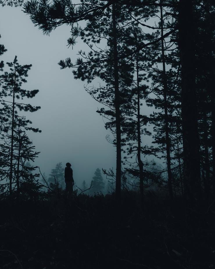 Photo by Sasha Matic on Unsplash