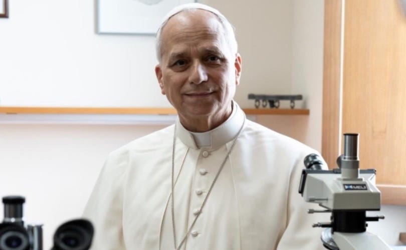 Magnifica Humanitas: Leo critiques Godless society and ‘cultural blindness'