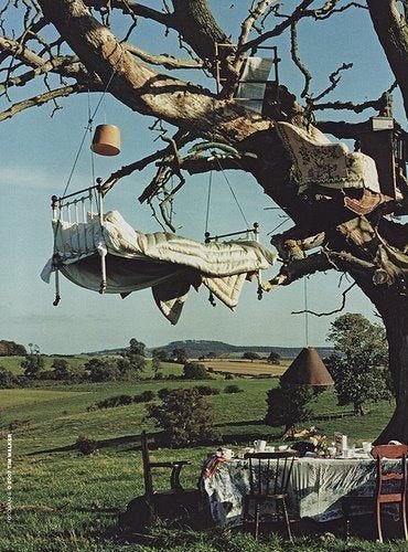 This may contain: a tree with clothes hanging from it's branches in the middle of a field