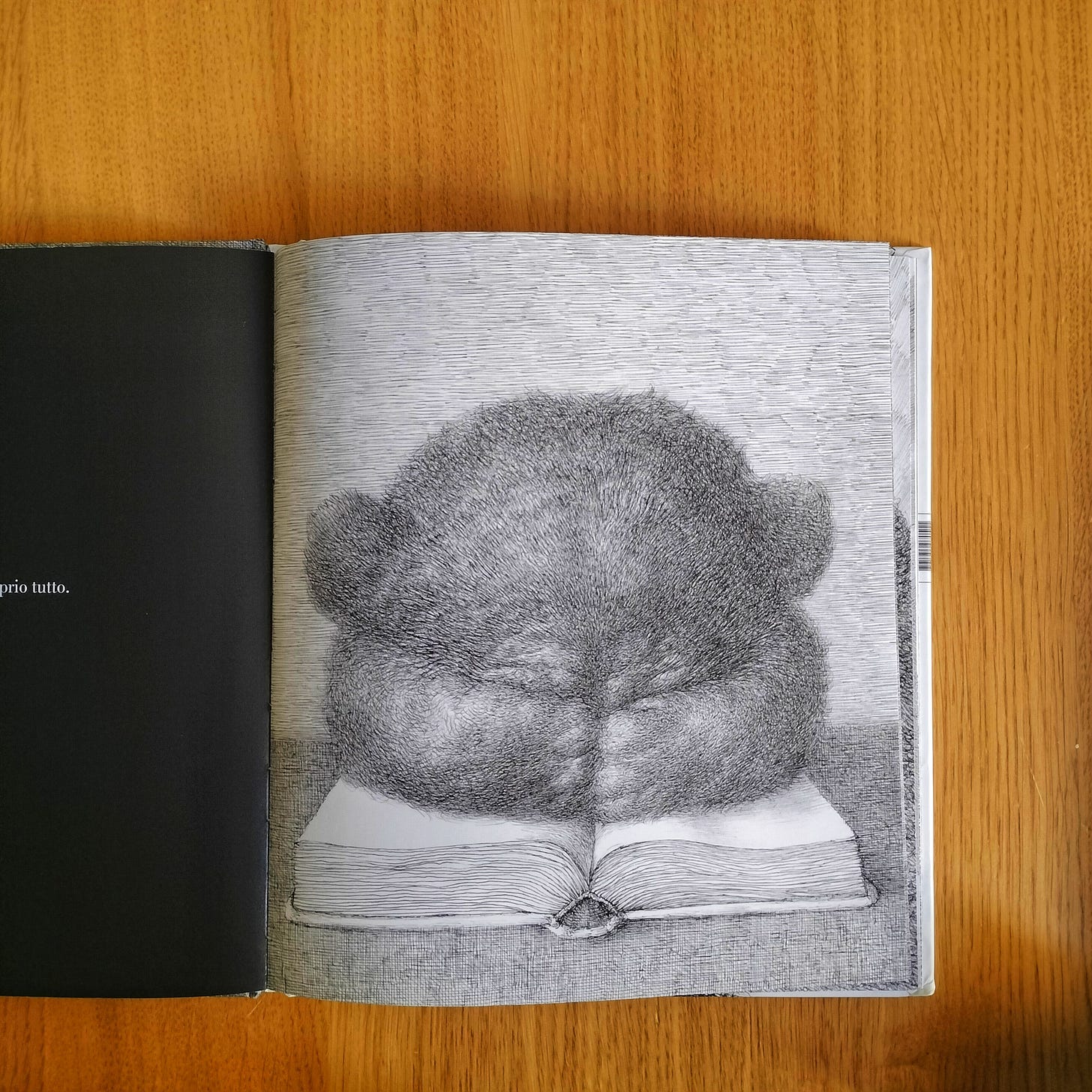 Zornista Hristova, Kiril Zlaktov, Ascoltami quando sto zitto, Orecchio Acerbo 2024; Nadine Robert, Valerio Vidali, Ascoltami Elefante, Terre di mezzo 2020.