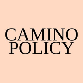Artwork for Camino Policy