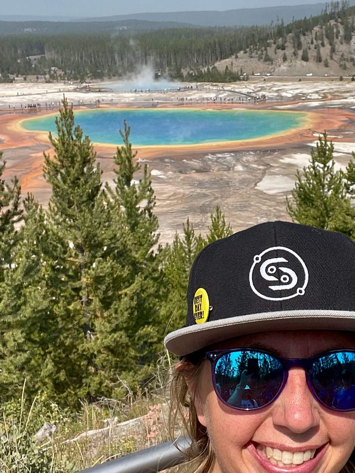 Photo 1- Rainy bison jam with adults and red dogs stopped in the road licking up rain; Photo 2- wildflowers in the foreground and cloudy mountaintops below from a high elevation vantage point; Photo 3- Top of Cassidy's head in bottom right corner in a selfie with Grand Prismatic which boasts bright turquoise and yellow water; Photo 4- A bison bull crossing a field full of pronghorn adults and babies