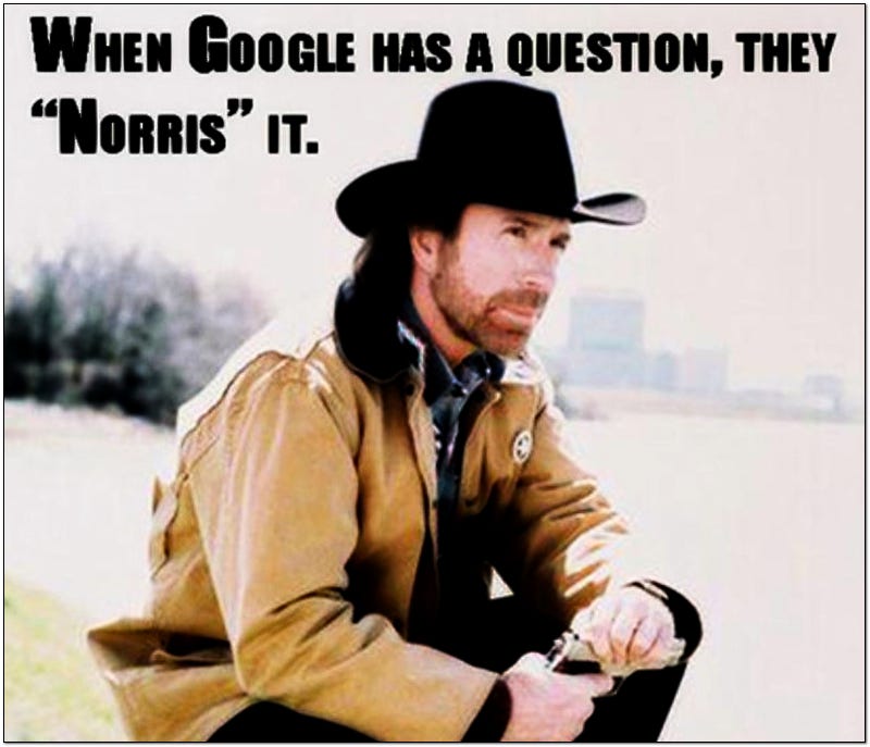 When google has a question, they "Norris" it