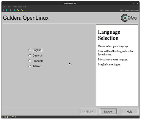 The Caldera Lizard, Linux Wizard, System Installation