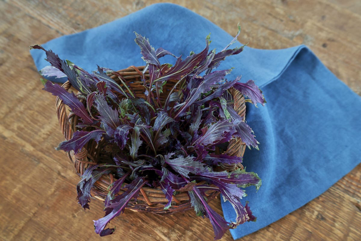 mizuna in a basket with a napkin in the background mizuna in a basket with a napkin in the background