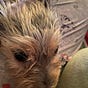 Irene Seaborn's avatar